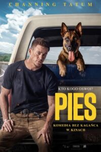 Pies zalukaj cały film online